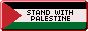 a button with the palestinian flag that says 'stand with'
